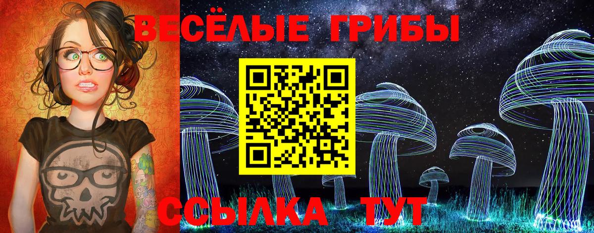 Псилоцибиновые грибы Psilocybine cubensis Усть-Илимск