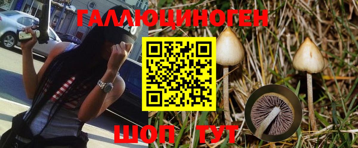 Псилоцибиновые грибы Psilocybe  закладка  Вход с VPN  Усть-Илимск  Галлюциногенные грибы Psilocybine cubensis 